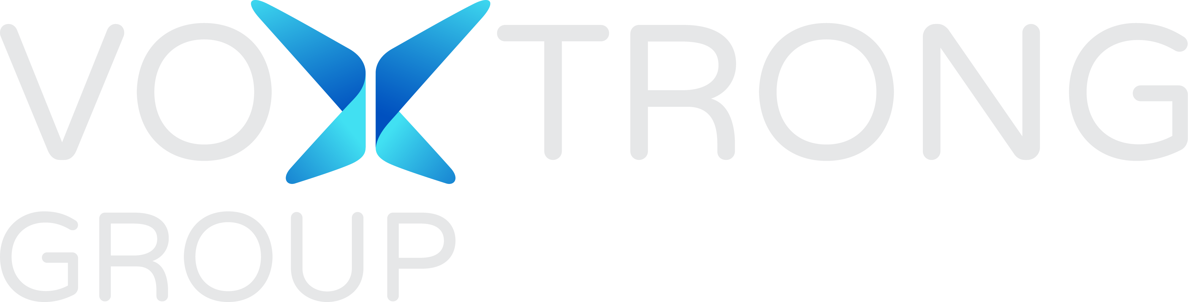 Voxtrong Group